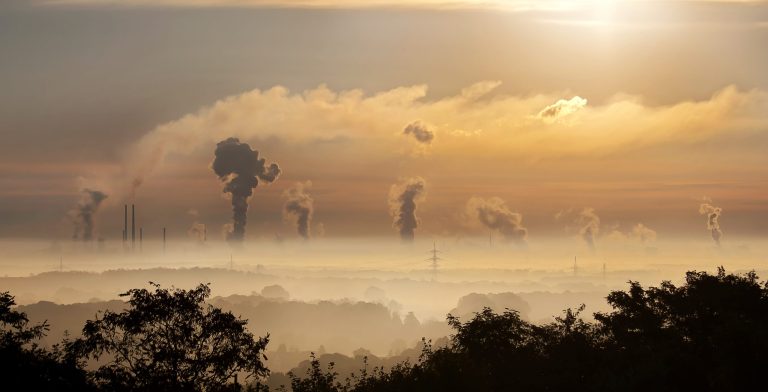 Carbon Offsetting: Is It Good or Bad?