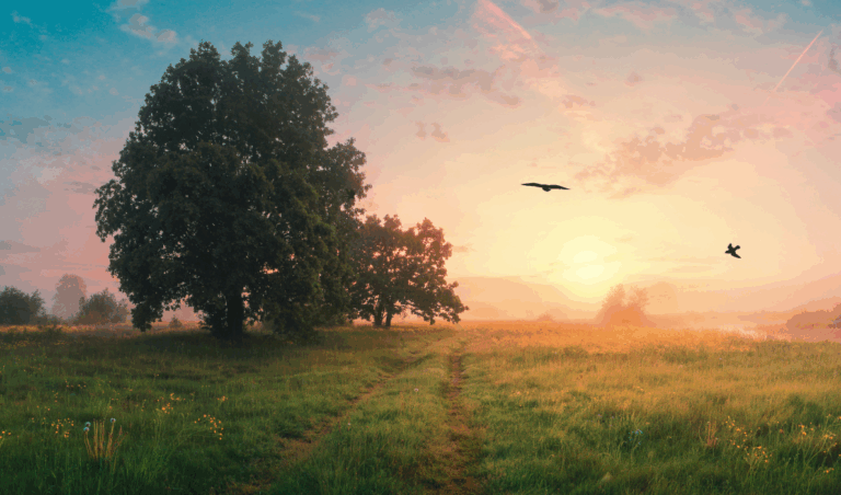 blog banner (1189 x 700 piksel) 5 august 2025